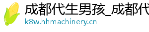 成都代生男孩_成都代生男孩_成都代生双胞胎	